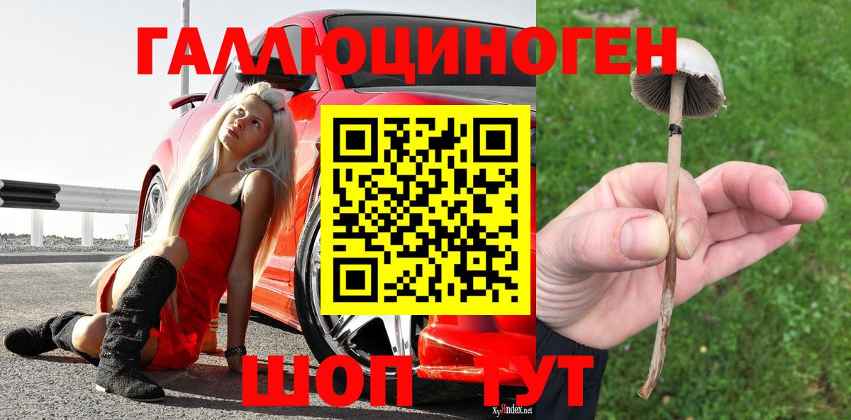 Уссурийск  Псилоцибиновые грибы прущие грибы  Вход с VPN 