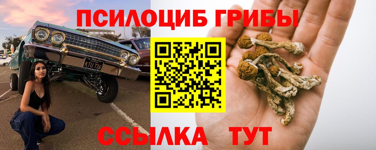Галлюциногенные грибы Psilocybine cubensis Уссурийск